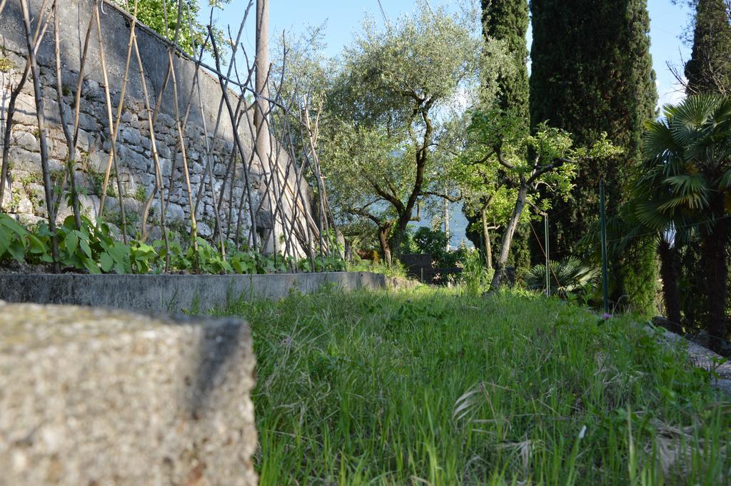 Arco Climbing Villa Exterior photo